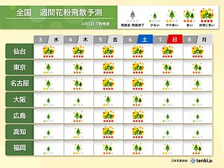 花粉情報　西・東日本　ヒノキ花粉のピークに桜が見頃　お花見は万全の対策を