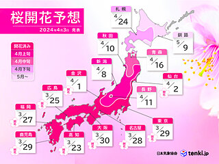 最新の桜開花・満開予想　北日本の桜開花は平年より早まる　東京は明日4日に満開予想