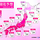 最新の桜開花・満開予想　北日本の桜開花は平年より早まる　東京は明日4日に満開予想