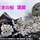 東京で桜満開　昨年より13日遅い満開　週末はお花見日和