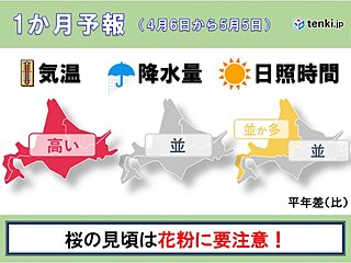 北海道の1か月予報　桜シーズン到来も今年は花粉に要注意!