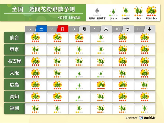 花粉情報　今週末は大量飛散　来週の雨上がりも注意　お花見は花粉対策を万全に