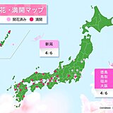 大阪などで桜が満開　西・東日本各地で見頃迎える