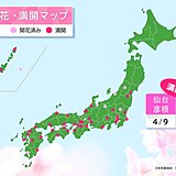 春の嵐の中　今日は仙台・彦根で桜満開　東京都内の桜は終盤　桜の絨毯や花筏に