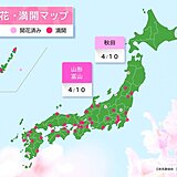 今日10日は富山と山形で桜満開　秋田で桜開花　北陸や東北でも桜見頃エリア広がる