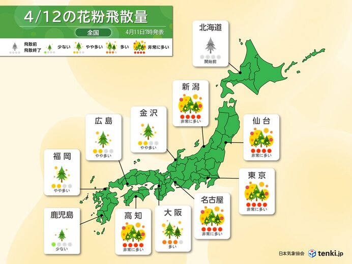 明日12日の花粉　まだ関東など「非常に多い」　いよいよ来週は花粉の飛散終了に迫る