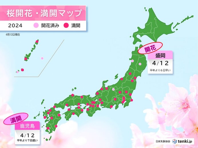 今日12日　盛岡で平年より6日早く桜開花　一方で鹿児島は平年より7日遅い桜満開