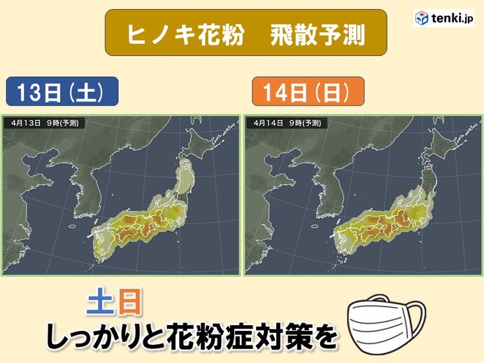 この土日は全国各地で花粉が飛びやすい　お出かけの際は花粉症対策を万全に