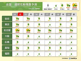 花粉情報　東京などシーズン終了目前　東海や東北では引き続き大量飛散に注意