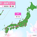 今日13日　長野で桜満開発表　明日もお花見日和