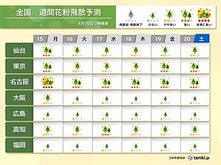 花粉　今日は非常に多い飛散も　本格飛散は多くの所で4月中旬まで　東海は下旬まで