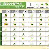 花粉　今日は非常に多い飛散も　本格飛散は多くの所で4月中旬まで　東海は下旬まで