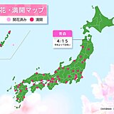 青森で桜が開花　季節外れの陽気で平年より7日早く　来週は桜前線が北海道へ