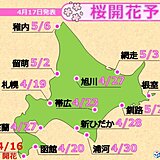 北海道の最新桜開花予想　函館より札幌が先に開花か