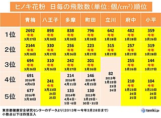 しぶとい今年の花粉　ヒノキが多量飛散