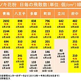 しぶとい今年の花粉　ヒノキが多量飛散