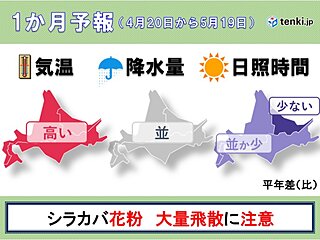 北海道の1か月予報　気温は平年よりかなり高い日も　シラカバ花粉大量飛散に注意