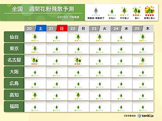 スギ・ヒノキ花粉シーズン終盤も　まだ「多い」所も　花粉飛散の終了時期はいつ?