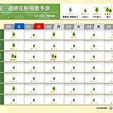 スギ・ヒノキ花粉シーズン終盤も　まだ「多い」所も　花粉飛散の終了時期はいつ?