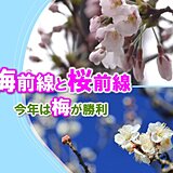 梅前線と桜前線　毎年繰り広げられる梅と桜のデッドヒート　今年は梅が逃げ切った