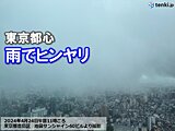 関東など雨でヒンヤリ　明日25日　天気回復とともに夏日急増　GWも暑さ注意