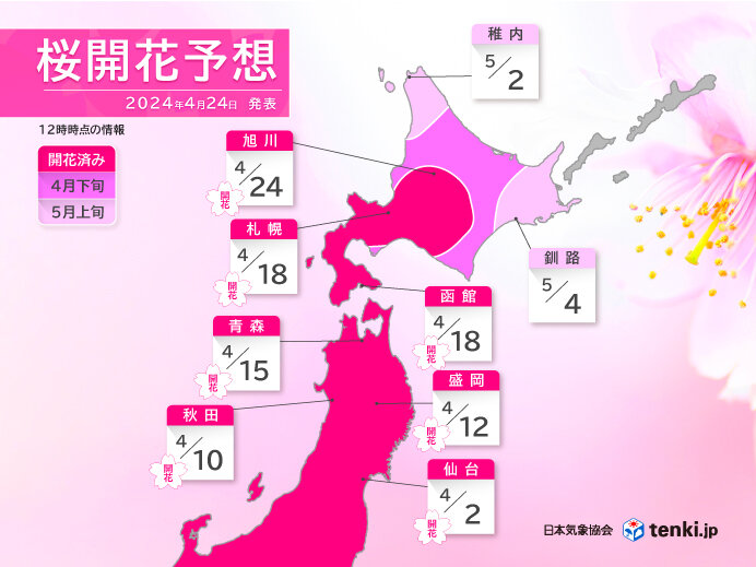 最新の桜開花・満開予想　ゴールデンウィークは道内各地で桜が見頃