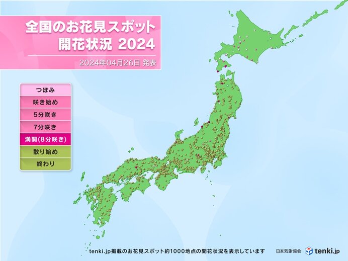 道央　札幌・小樽など　28日はにわか雨に注意　27日と29日は晴れて、桜もシラカバ花粉も最盛期
