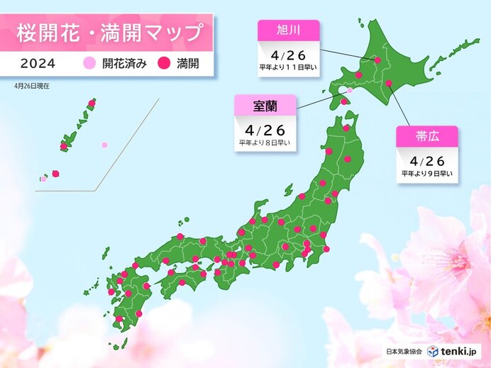 北海道でも気温上昇　帯広・旭川でサクラ満開　室蘭はサクラ開花