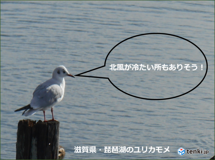 近畿　北風が冷たく感じられる所も