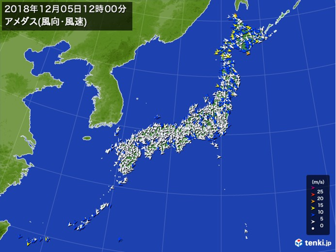 12月とは思えない暖かさ一転、冬の寒さに