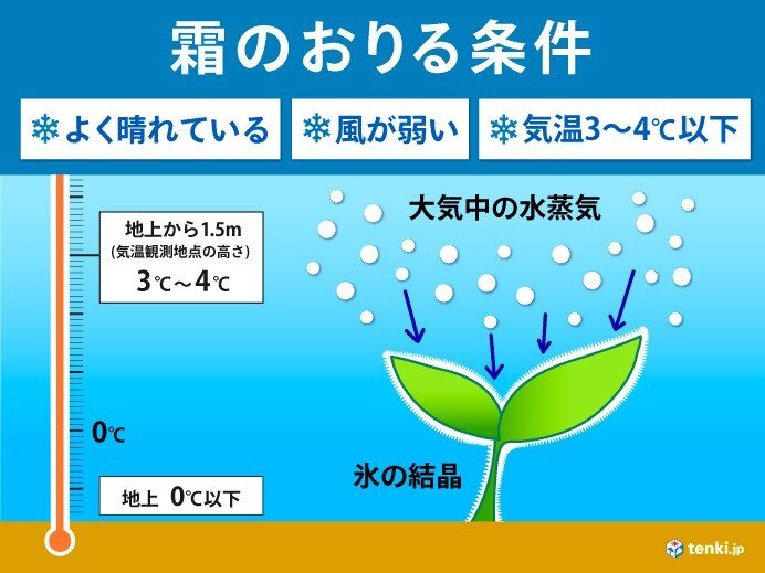 霜のおりる条件は?