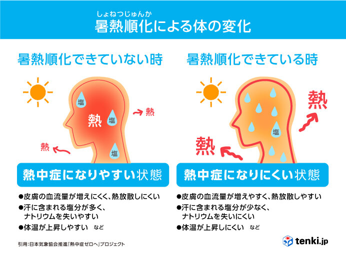 6月　初夏というより夏本番　急な暑さにご用心