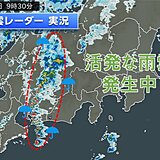 東海、甲信、北陸に発達した雨雲発生中　午後は関東でも急な大雨や雷雨に注意