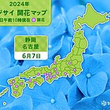 静岡と名古屋で「平年より早く」アジサイ開花　でも梅雨入りは「平年より遅い」