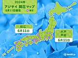 水戸・甲府・松江でアジサイが開花　いずれも平年より1週間以上早い　恵みの雨は?