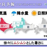 北海道の1か月予報　高めの気温が続き　ムシムシとした暑さが増える