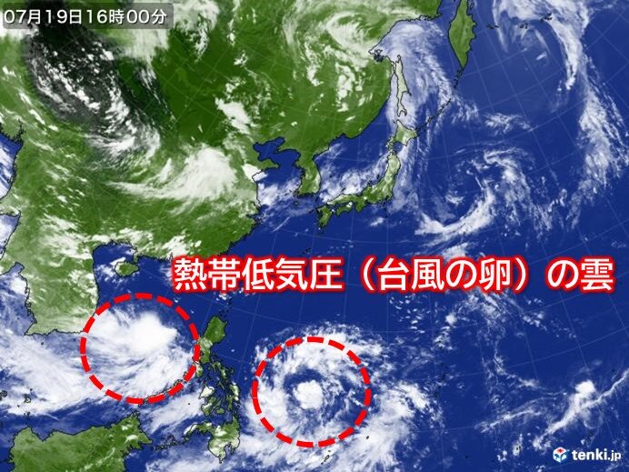 来週は台風の卵(熱帯低気圧)の動きに注意