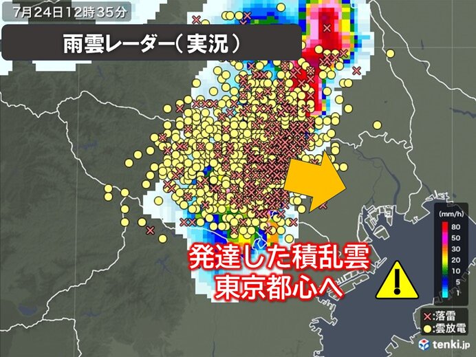 東京都心に巨大な雷雲が接近中