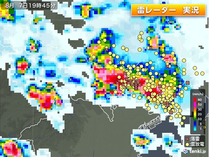 埼玉で猛烈な雨　東京23区でもゲリラ雷雨　帰宅ラッシュを直撃　停電への備えとは(気象予報士 日直主任)