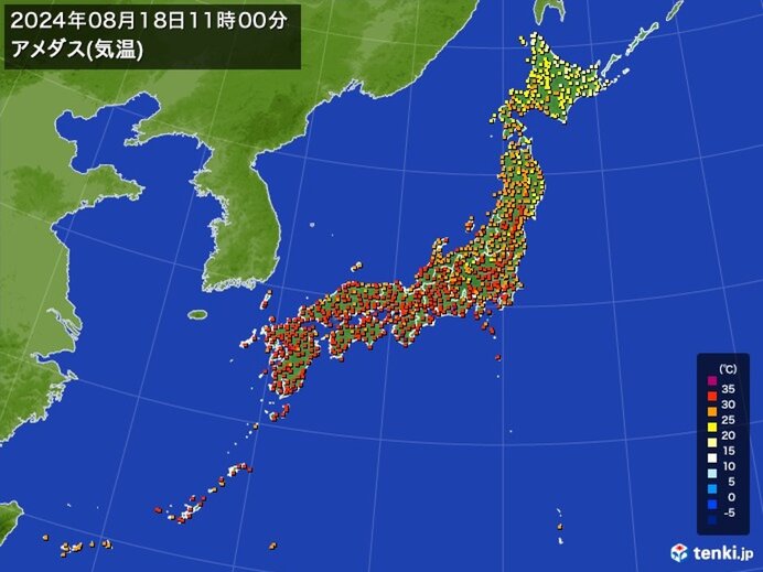 午前中から気温上昇　すでに猛暑日も