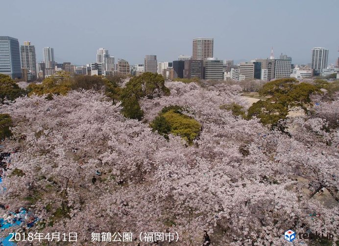 九州　今週は花ふぶき