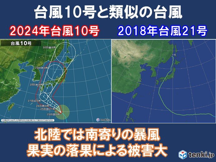 過去の類似台風　2018年台風21号　記録的な暴風　果実の落果の被害大