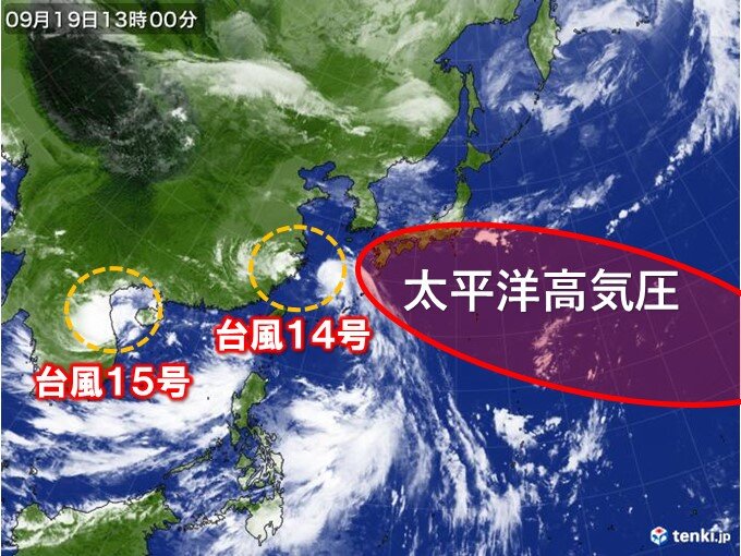 相次ぐ台風　暑さをもたらす高気圧を強化