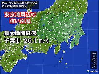 千葉市で最大瞬間風速25.1メートルを観測　関東の強風は夕方には弱まる