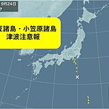 伊豆諸島と小笠原諸島に津波注意報　海岸から離れて