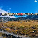 紅葉前線　立山室堂平は今が色づきのピーク　標高の高い所から徐々に進行中