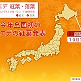 釧路で平年より3日遅いカエデが紅葉　この秋　全国で初