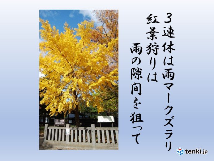 長野　3連休　11月2日は低気圧の影響で大雨の恐れ　3日と4日は紅葉狩り可能