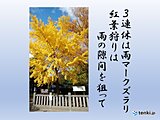 長野　3連休　11月2日は低気圧の影響で大雨の恐れ　3日と4日は紅葉狩り可能