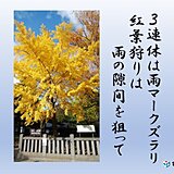 長野　3連休　11月2日は低気圧の影響で大雨の恐れ　3日と4日は紅葉狩り可能